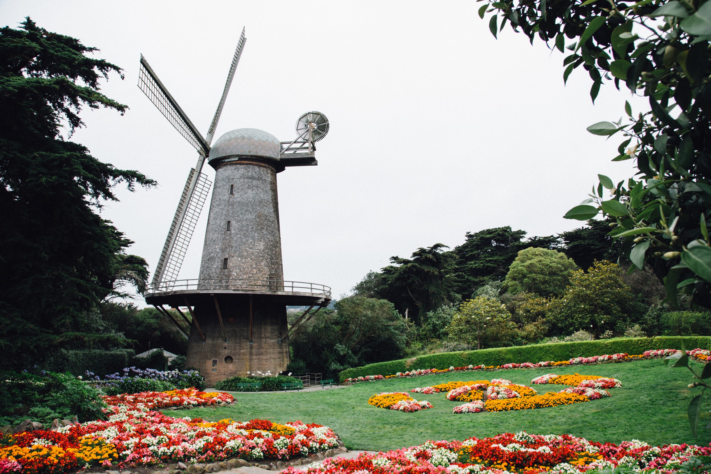 The Dutch Windmill above a tulip garden at the far end of Golden Gate Park