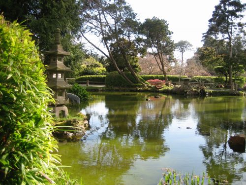 A view of the Japanese Garden
