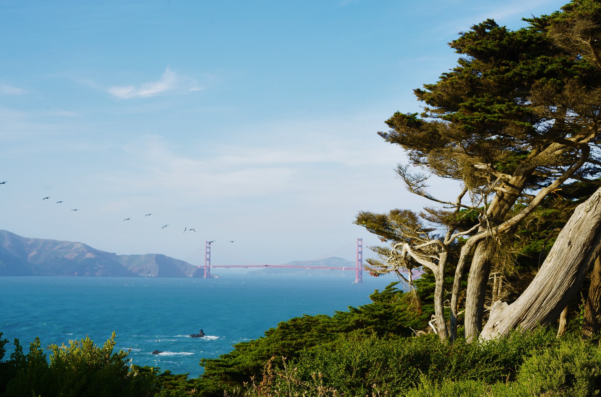 Lands End in San Francisco