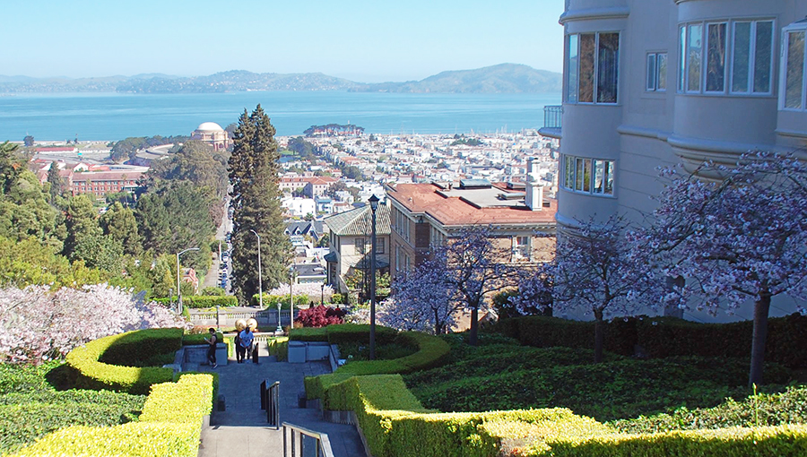 Lyon Street Steps in San Francisco