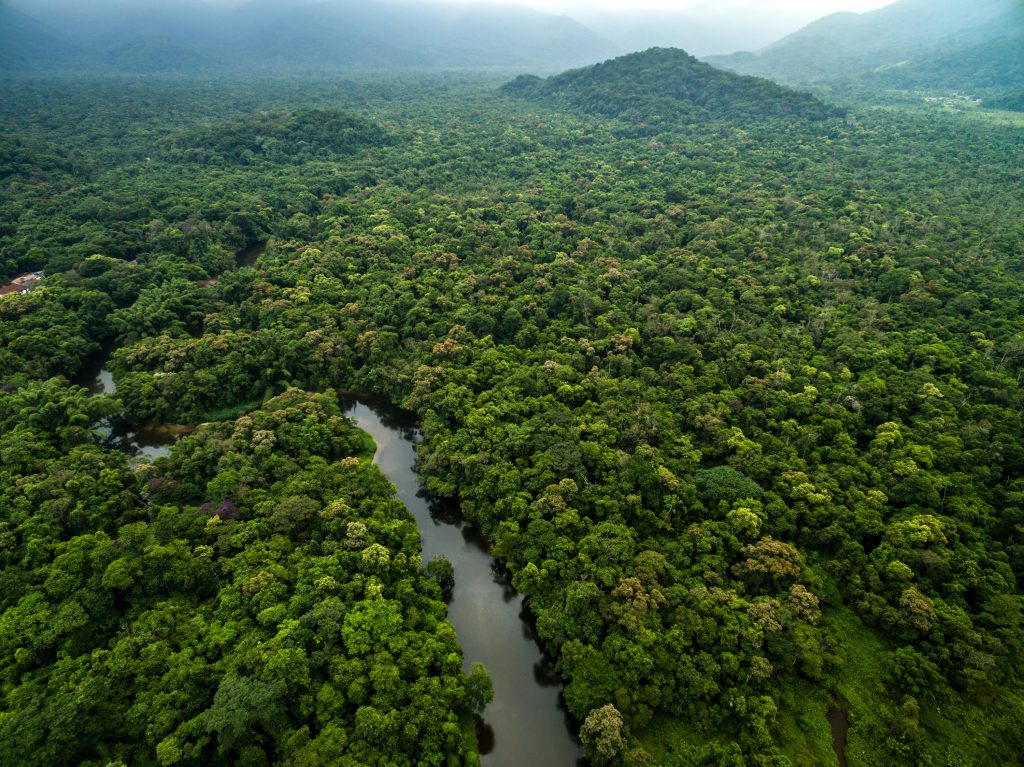 Aerial view of the Amazon