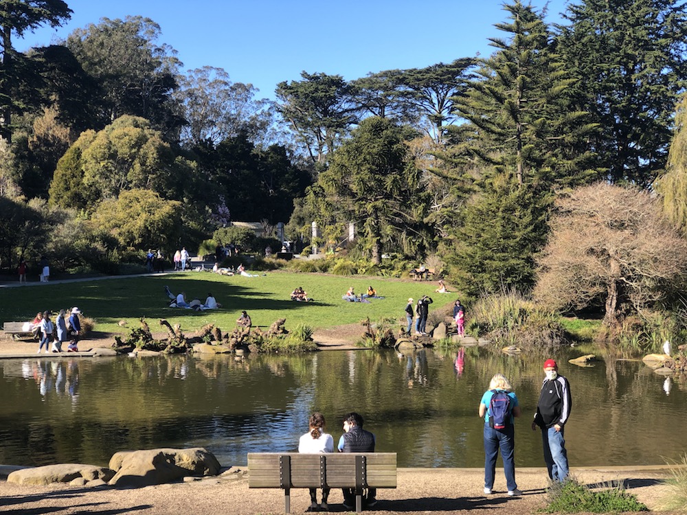 Valentine's Day picnics and recreation in the San Francisco Botanical Garden