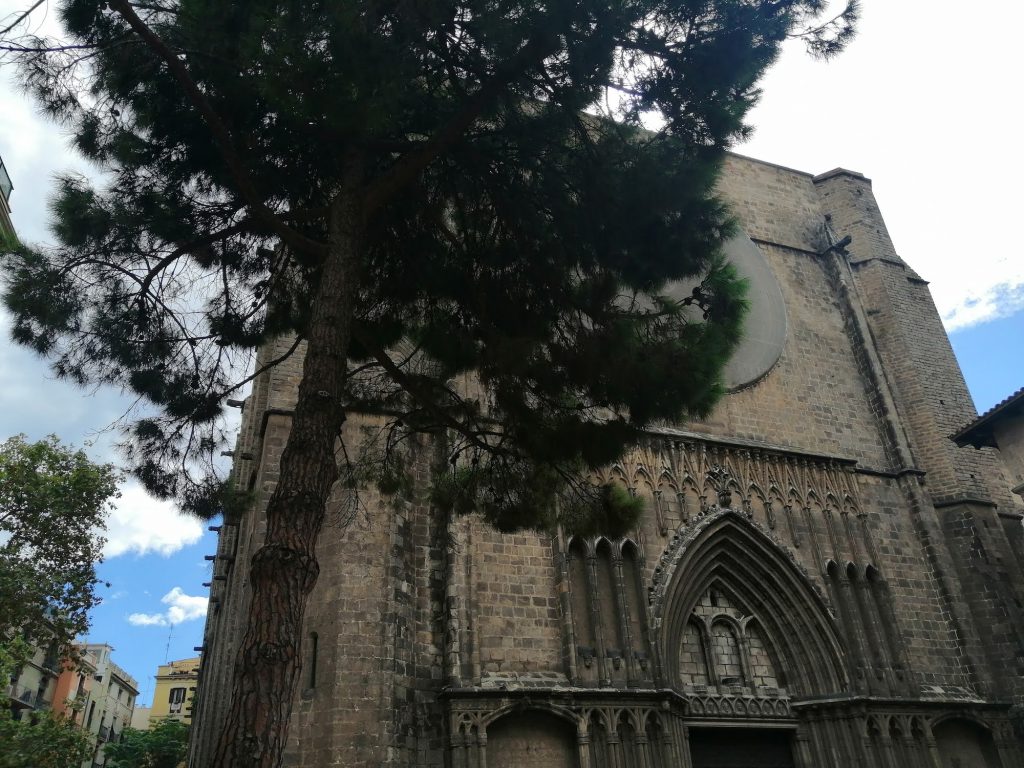 The Church of Holy Mary of the Pine