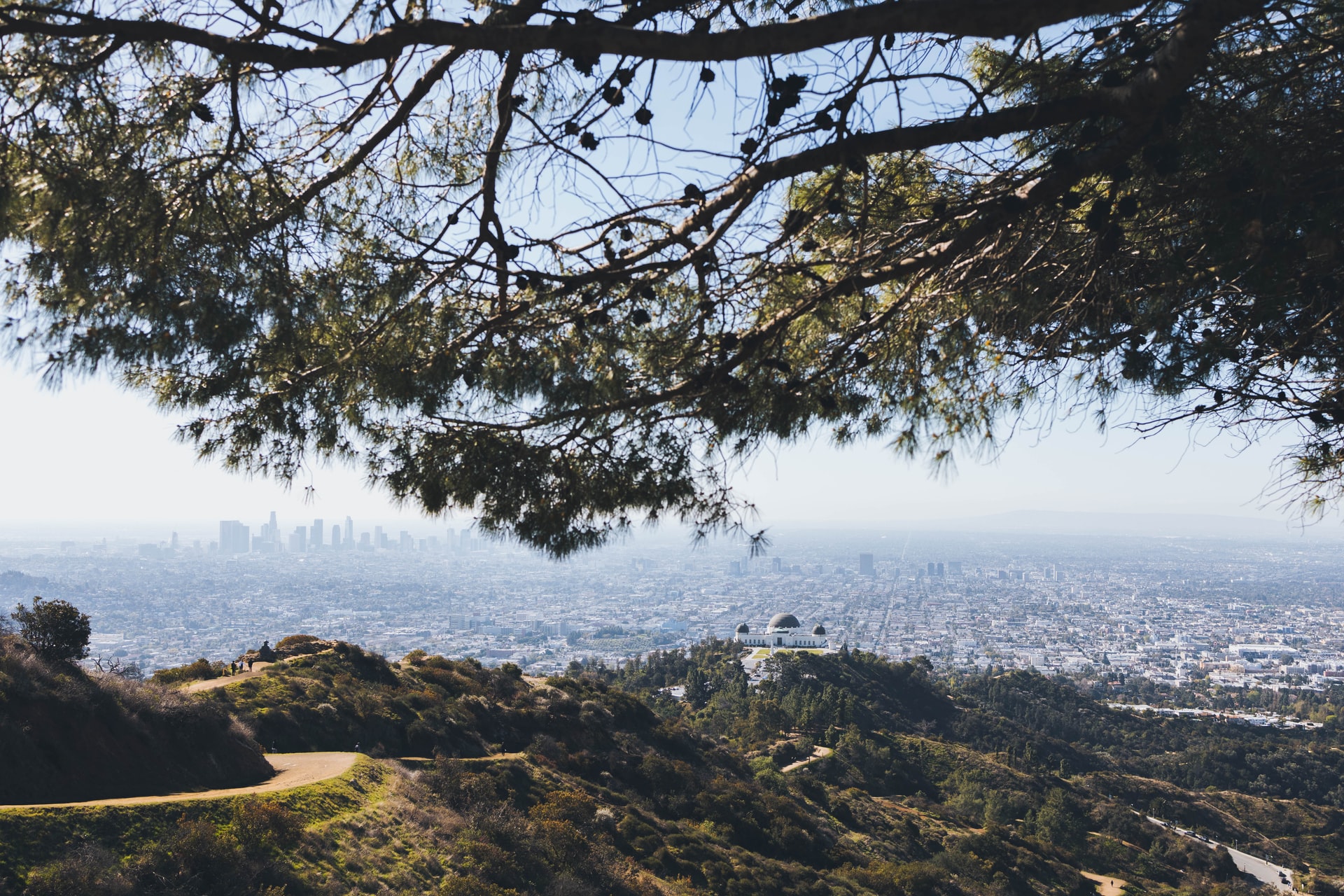 Griffith Park