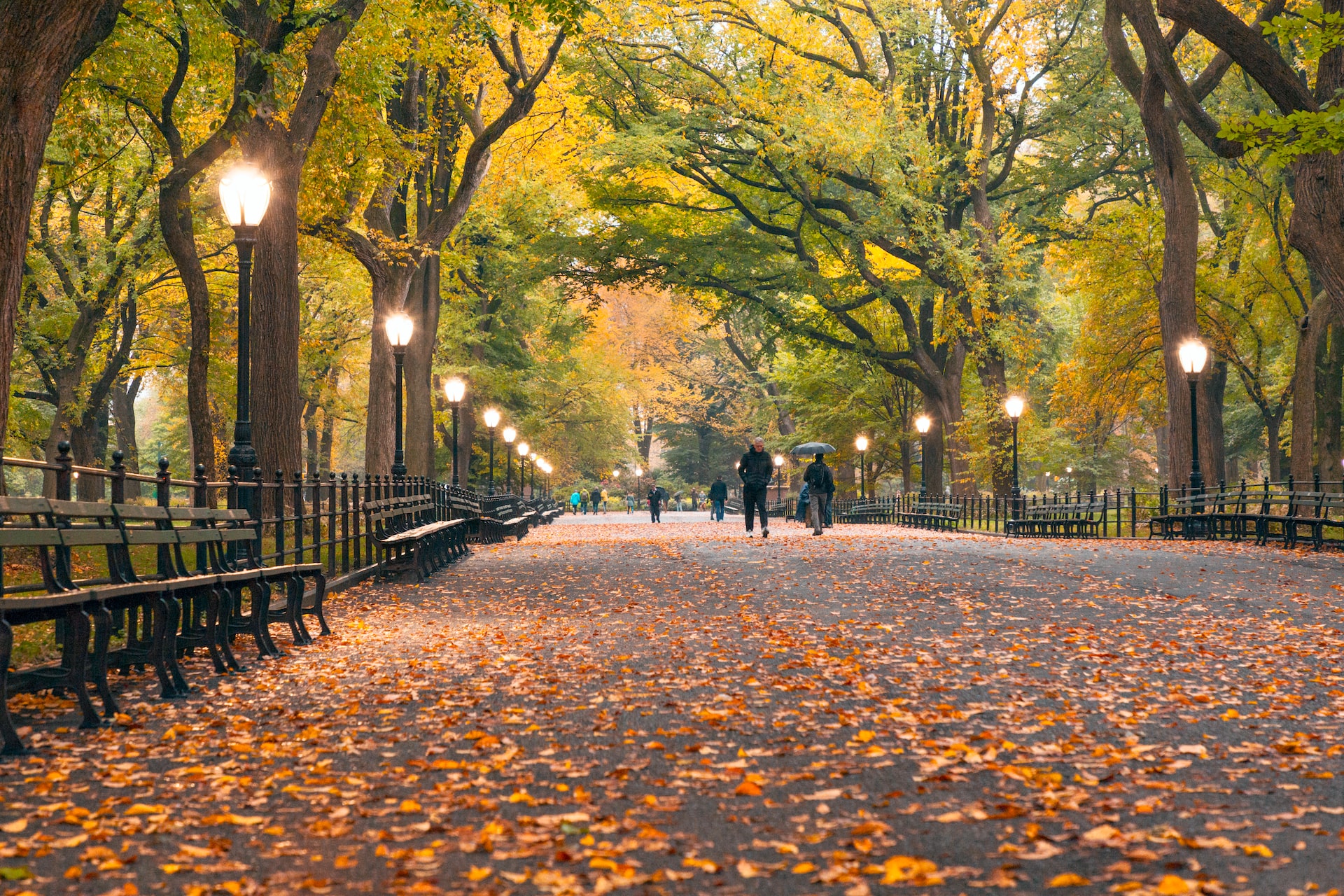 Central Park in Fall