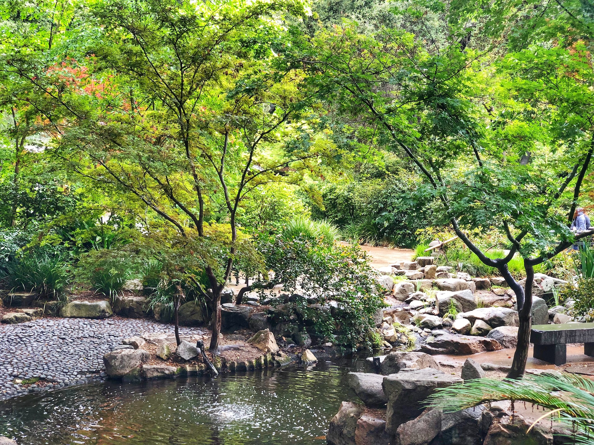 Descanso Gardens