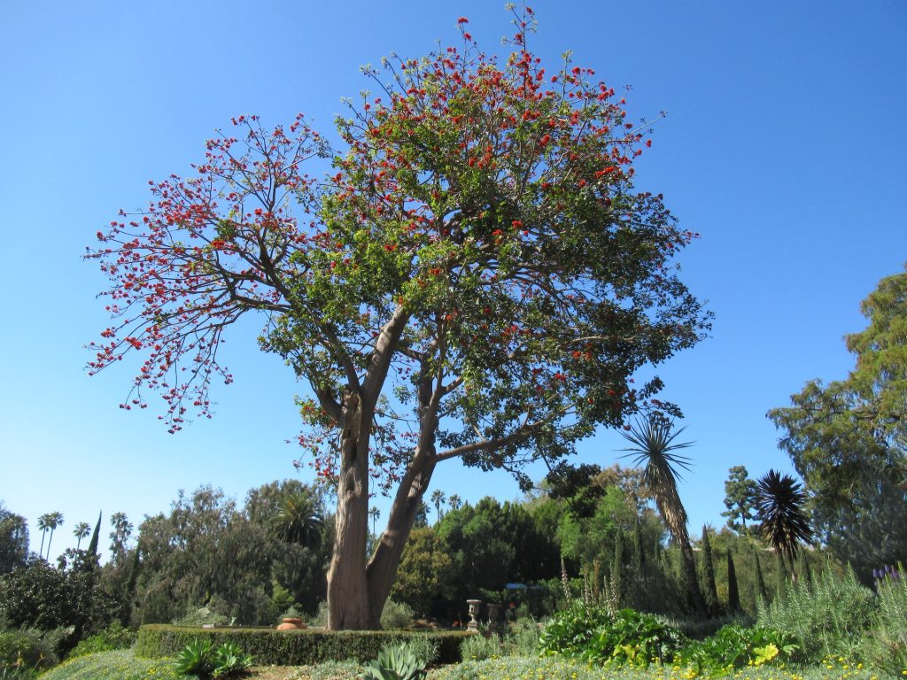 Virginia Robinson Gardens