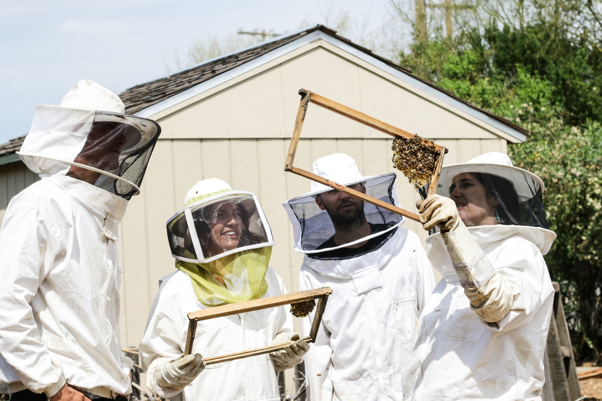 Beekeeping classes