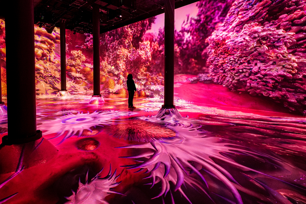 10 Attractions and Exhibits in NYC To See Right Now Blog