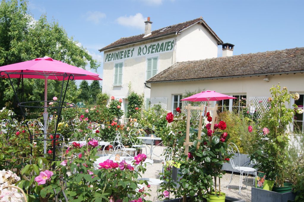 Provins Roses Easy Paris Day Trip: Medieval Walled City of Provins – Blog