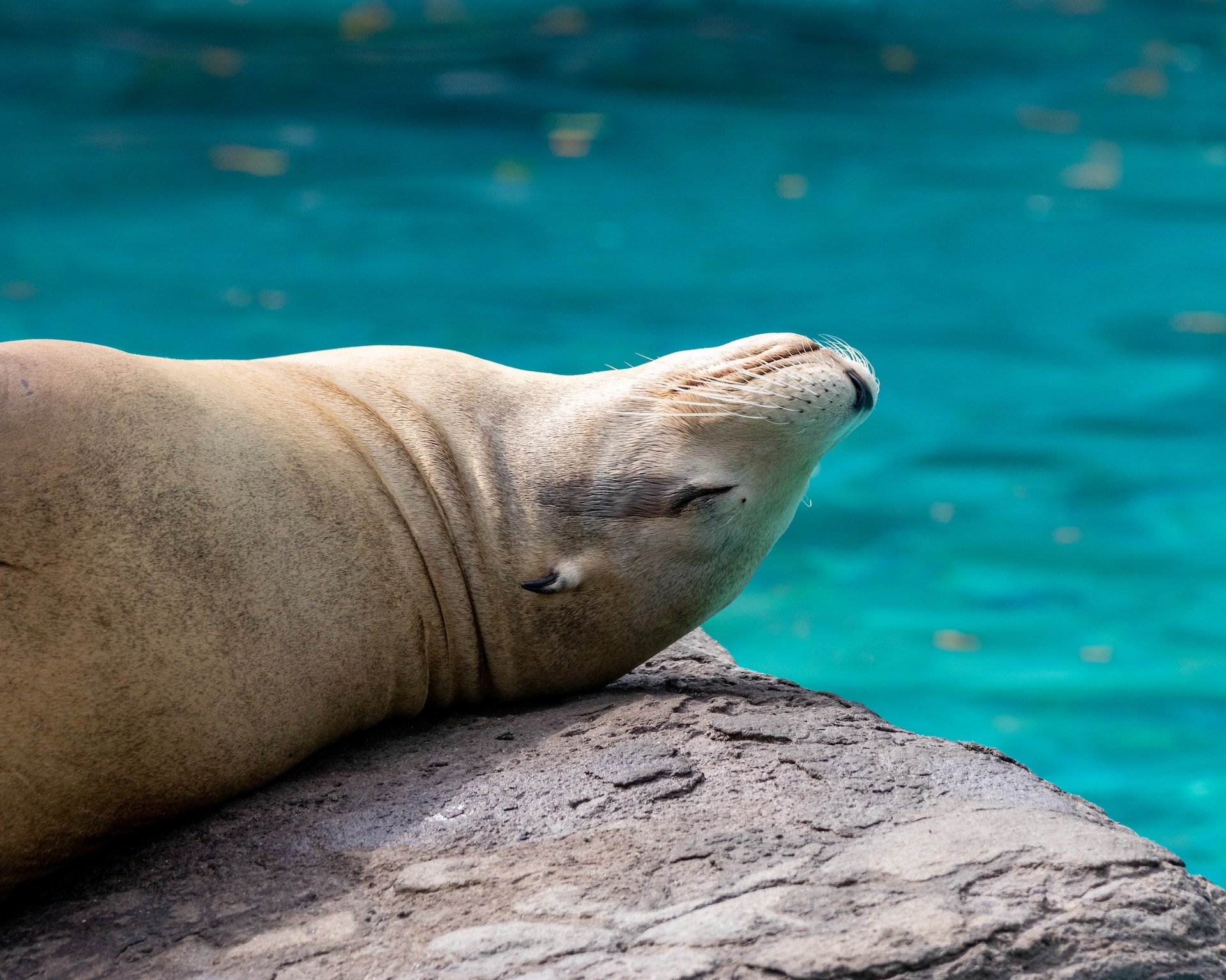 Barcelona Zoo