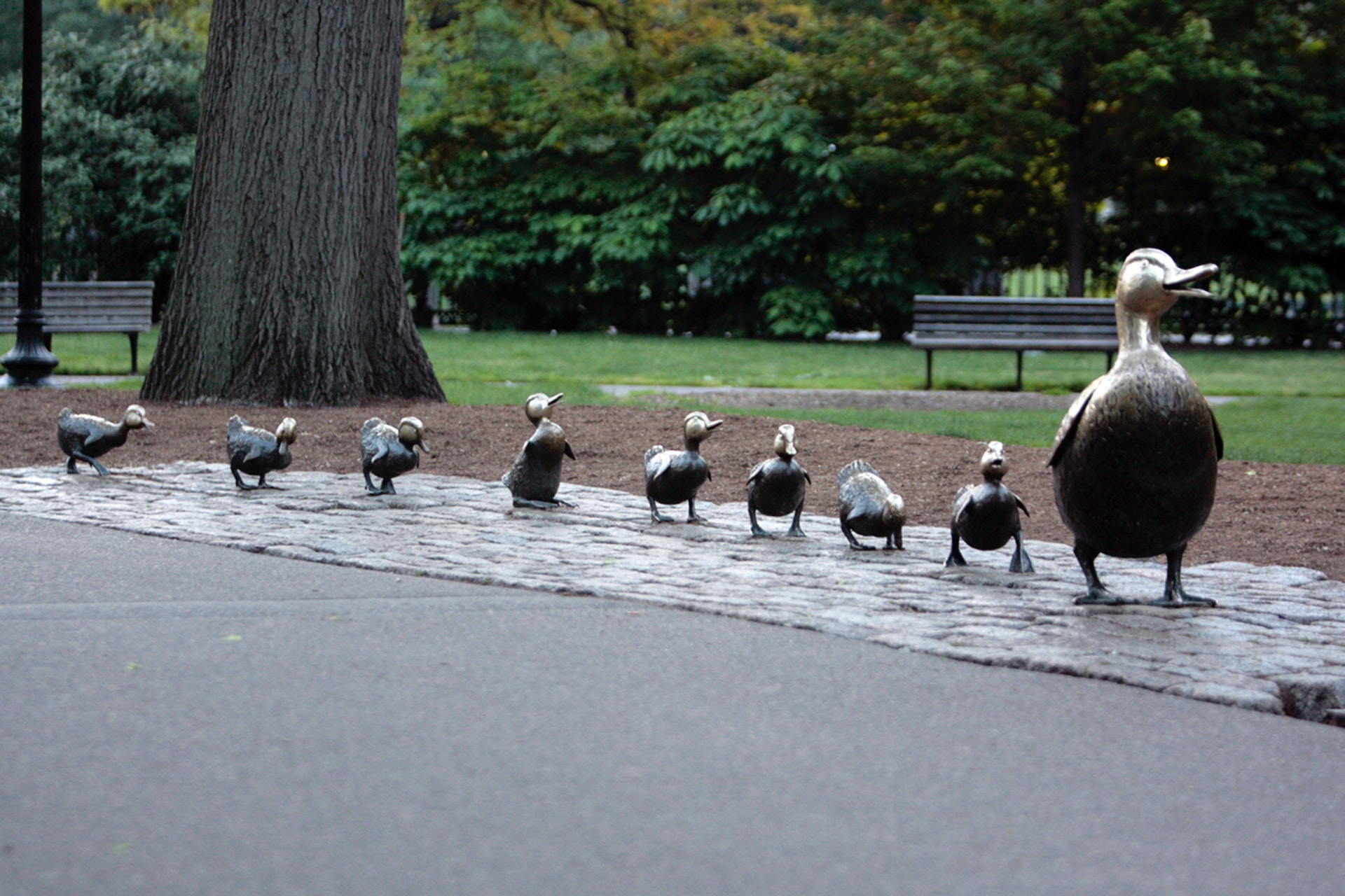 Boston Public Garden