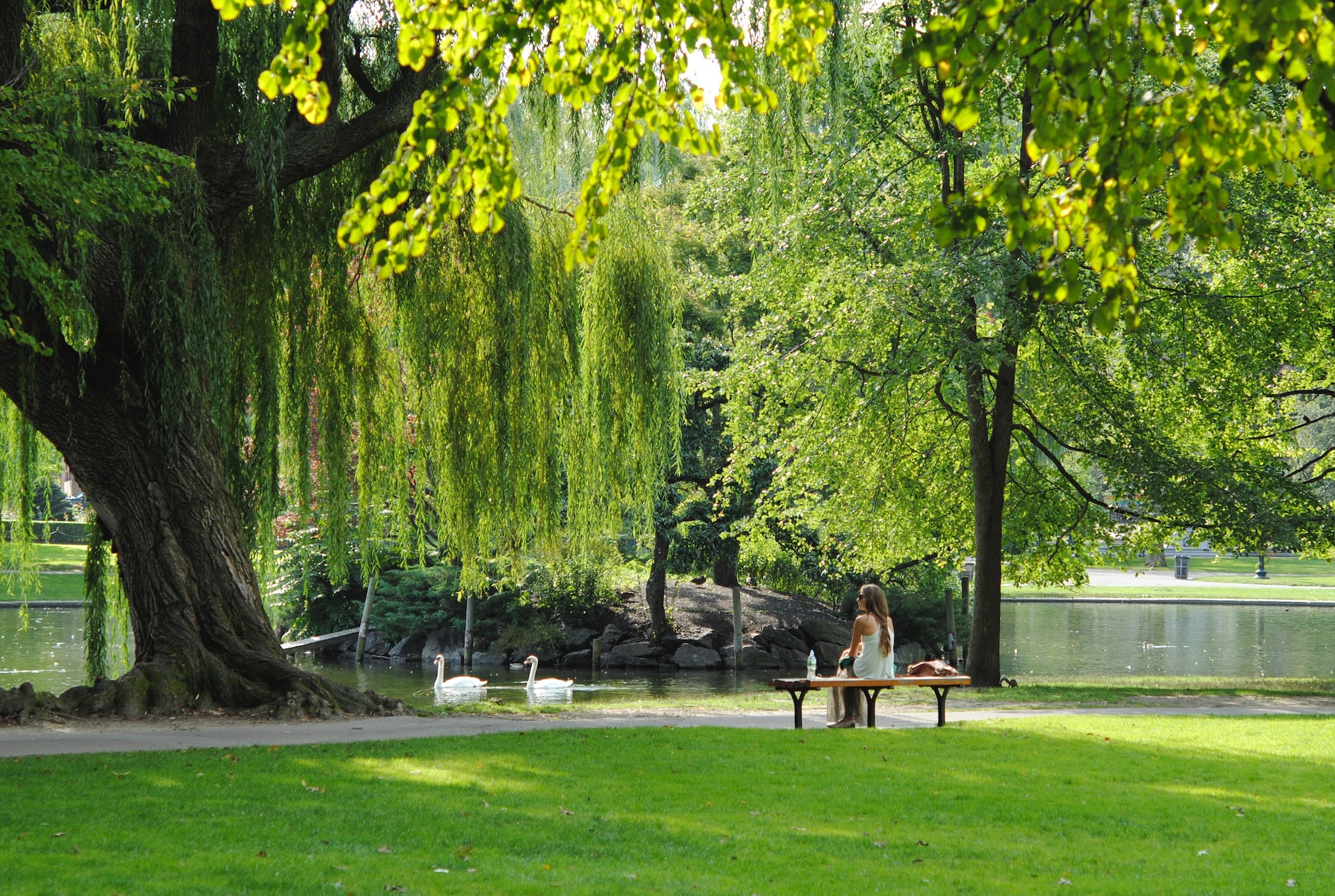 Boston's Public Garden