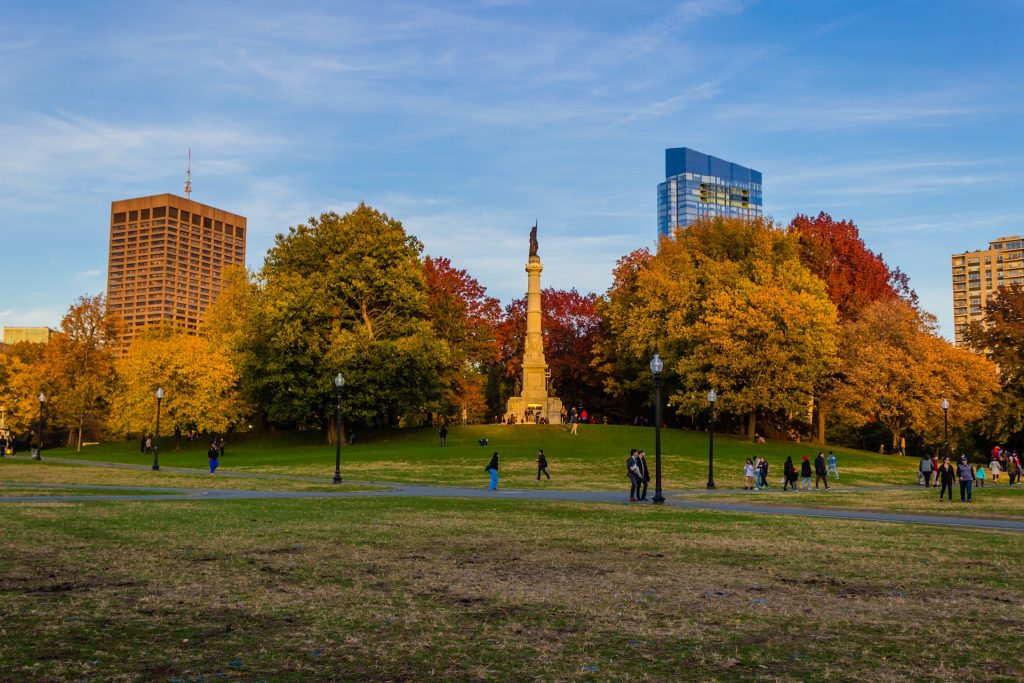 Boston's Public Garden