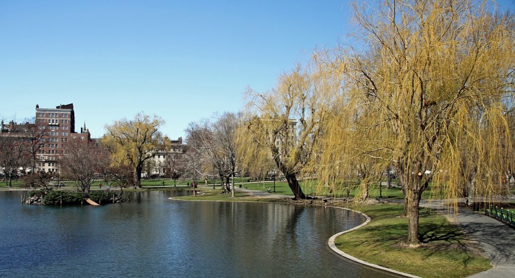 Boston's Public Garden