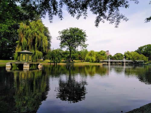 Boston's Public Garden