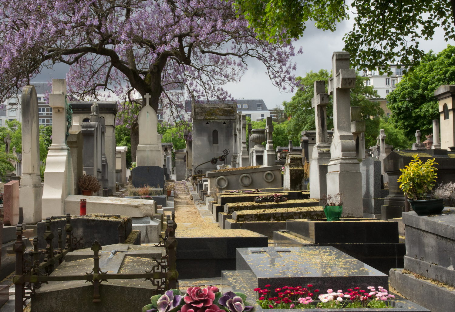 Montparnasse Cemetery graves