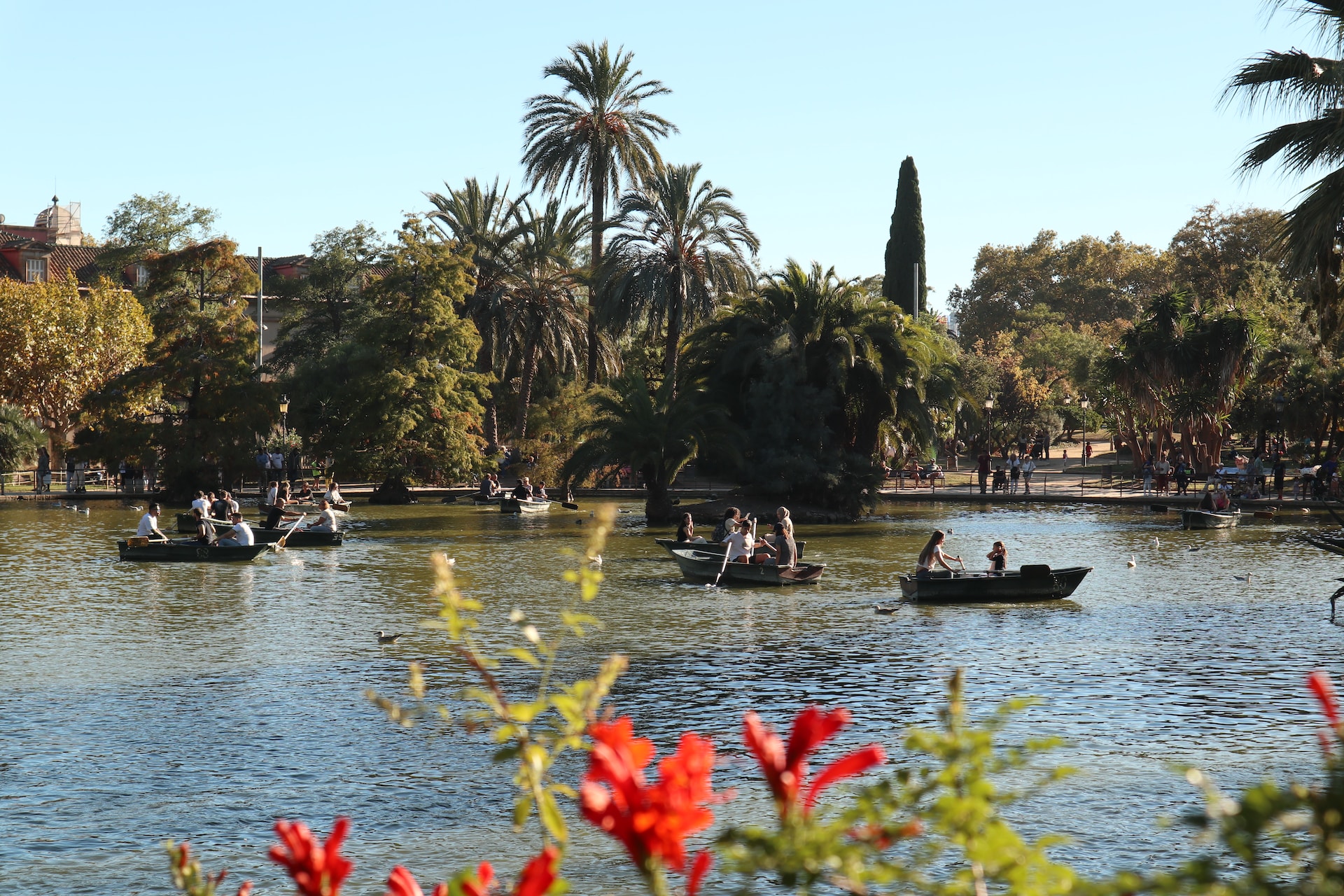 Row boats in the lake