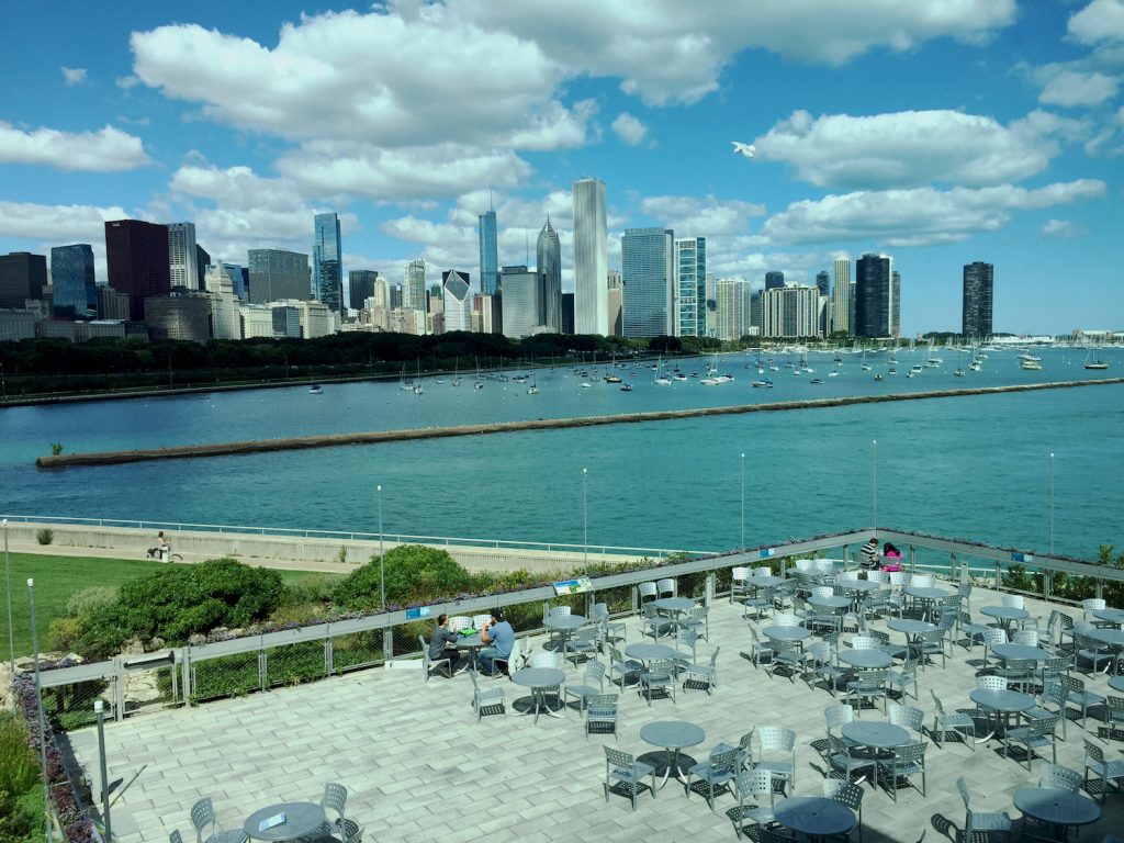 Shedd Aquarium Patio Chicago Skyline