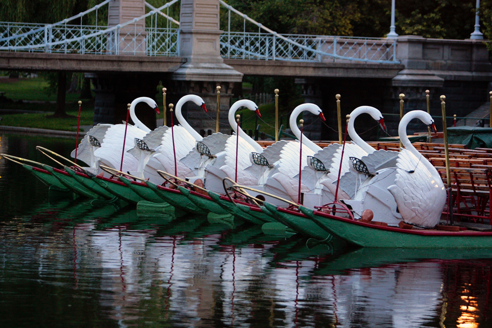 Swan Boat