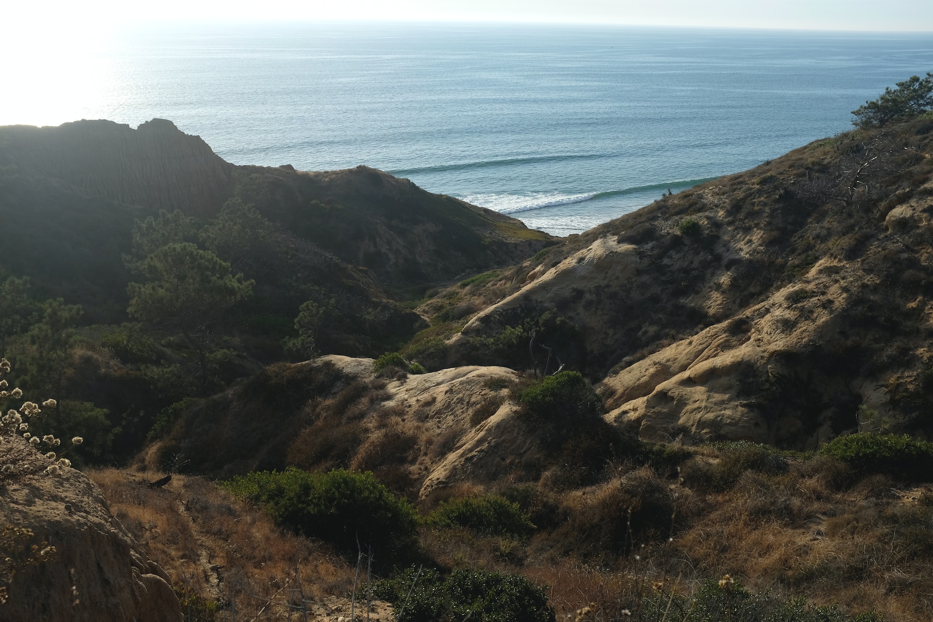 What To Do at La Jollas Torrey Pines State Natural Reserve