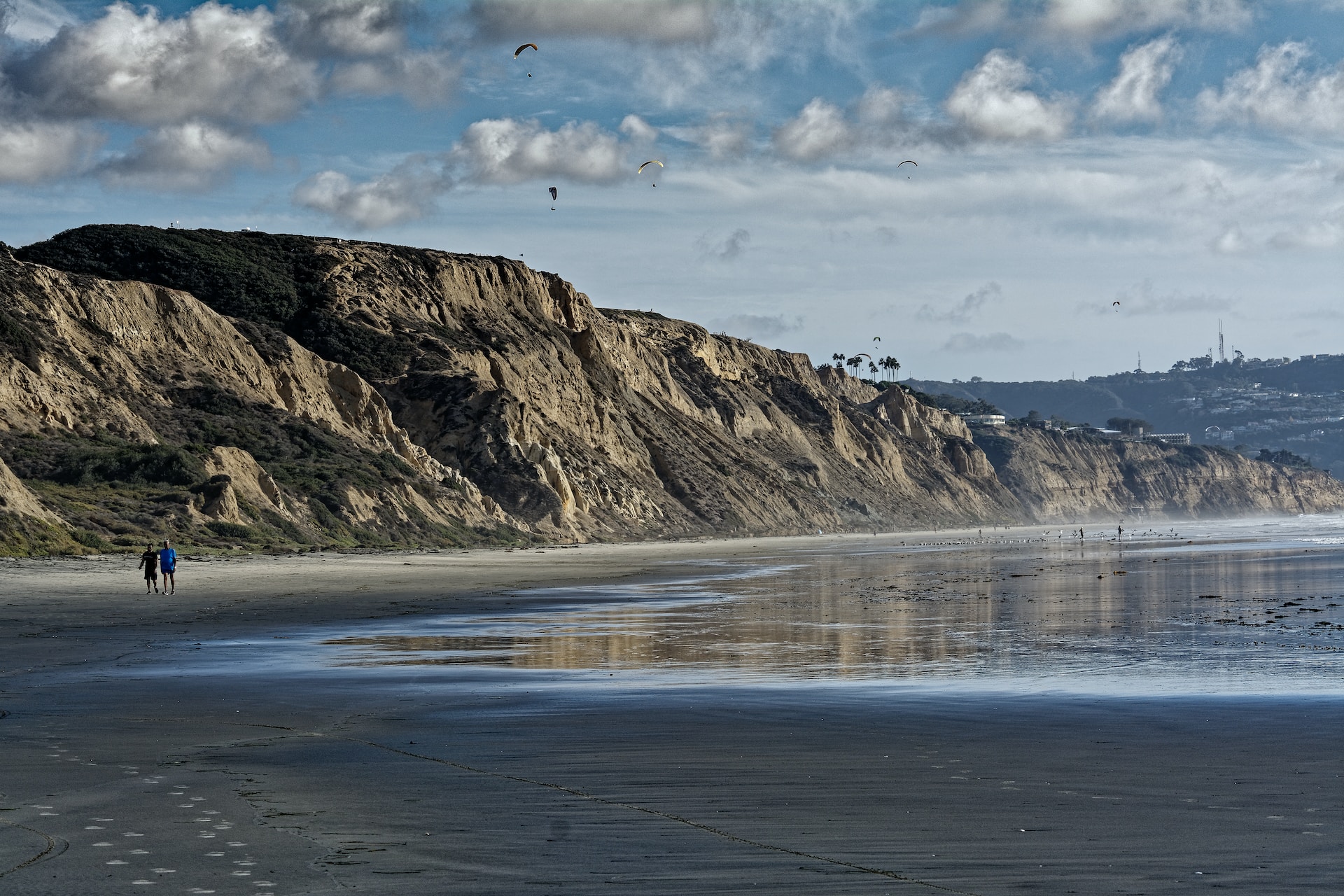 Torrey Pines State Natural Reserve