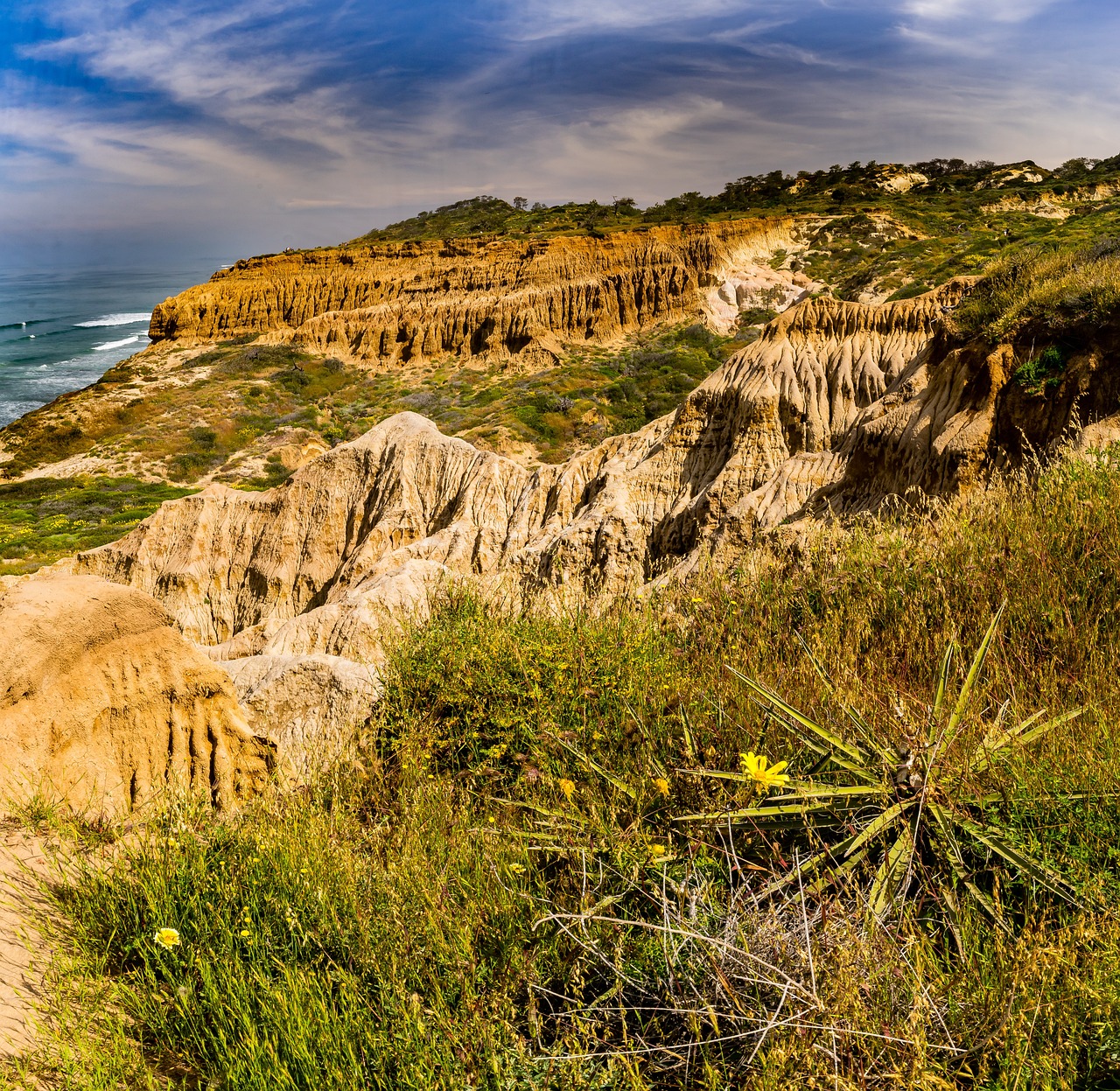 Torrey Pines State Natural Reserve
