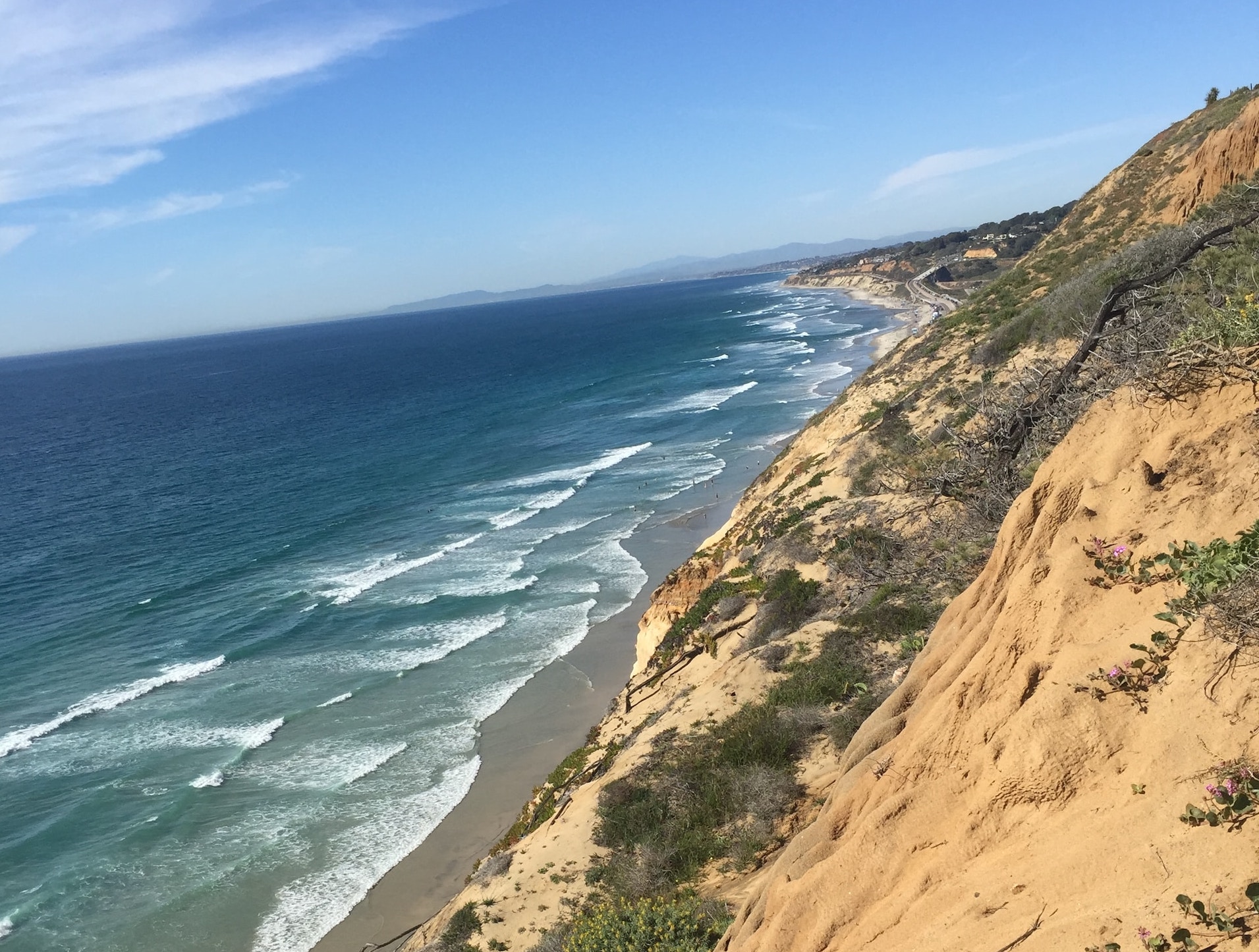 What To Do at La Jollas Torrey Pines State Natural Reserve