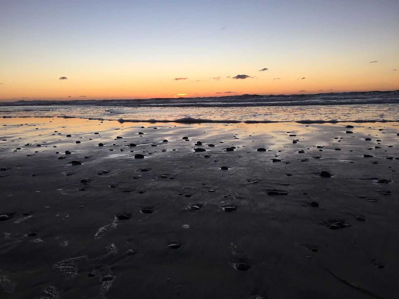 Torrey Pines State Natural Reserve