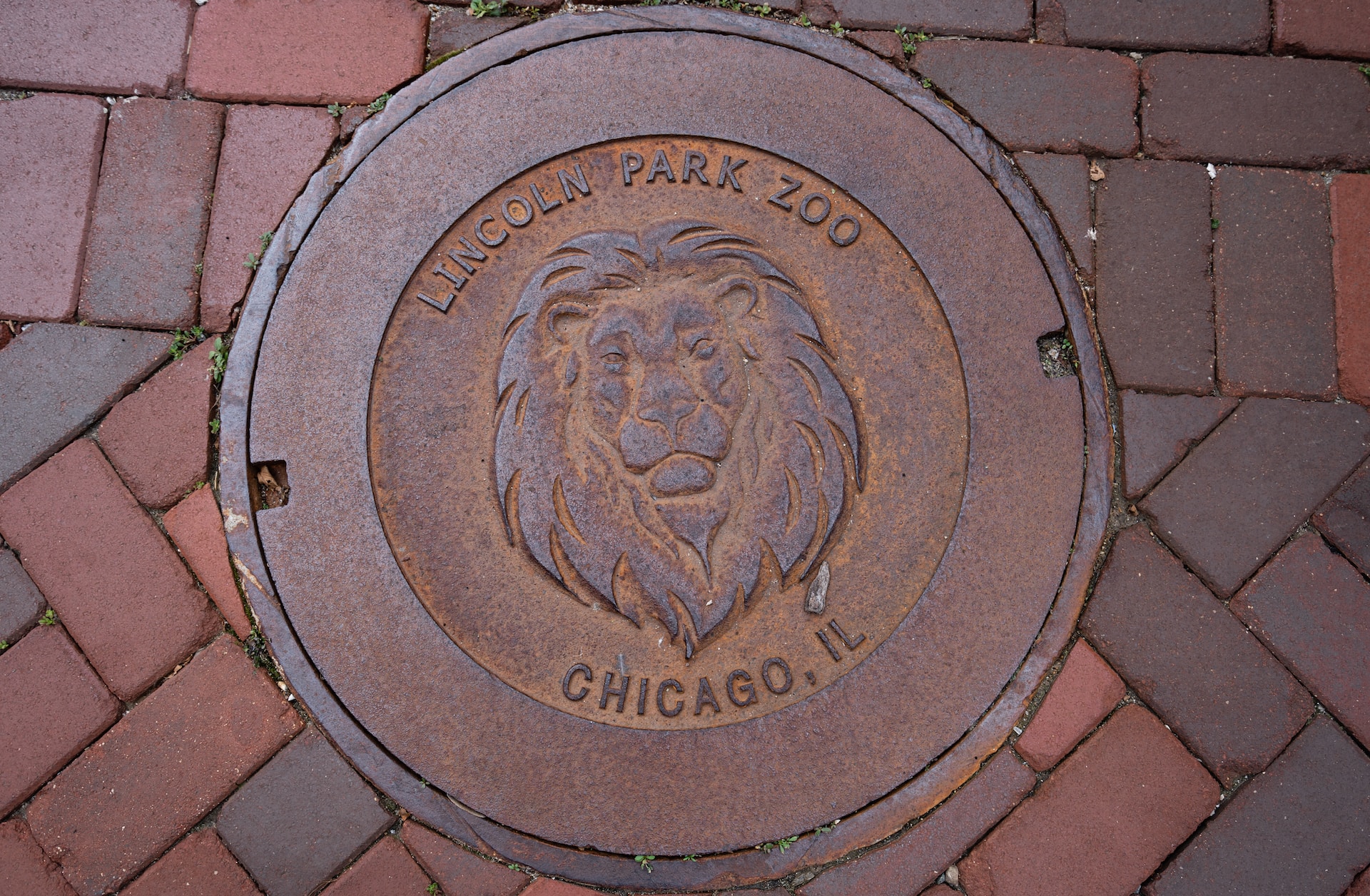 Lincoln Park Zoo Manhole Cover