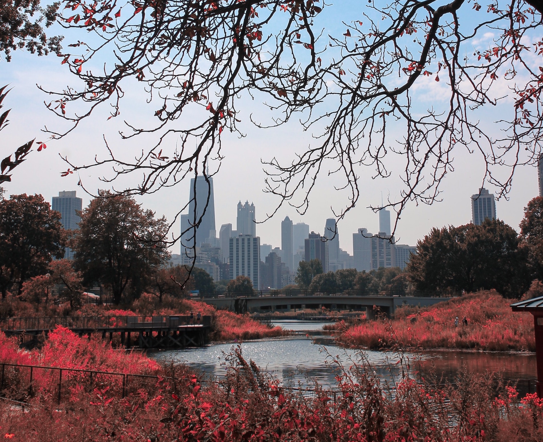 Lincoln Park nature boardwalk