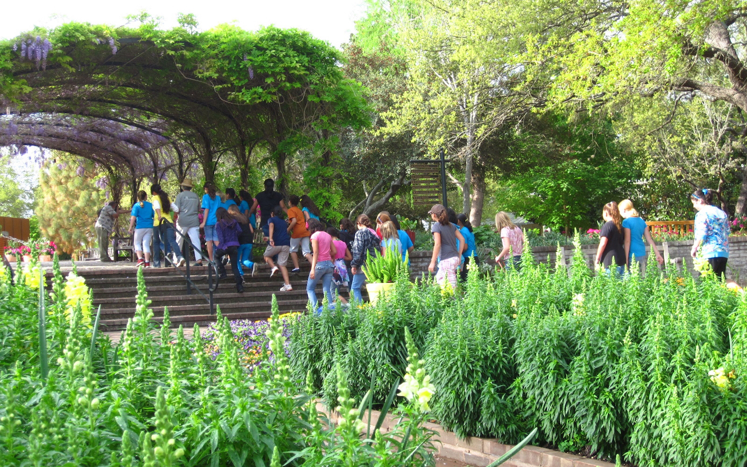 San Antonio Botanical Garden