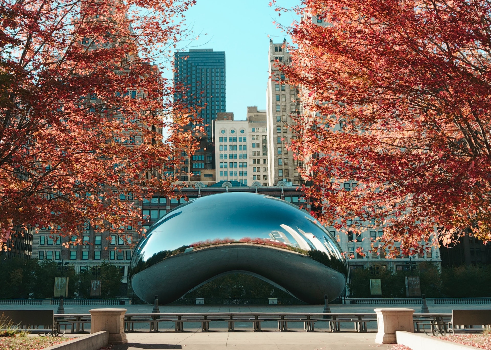 Chicago Bean