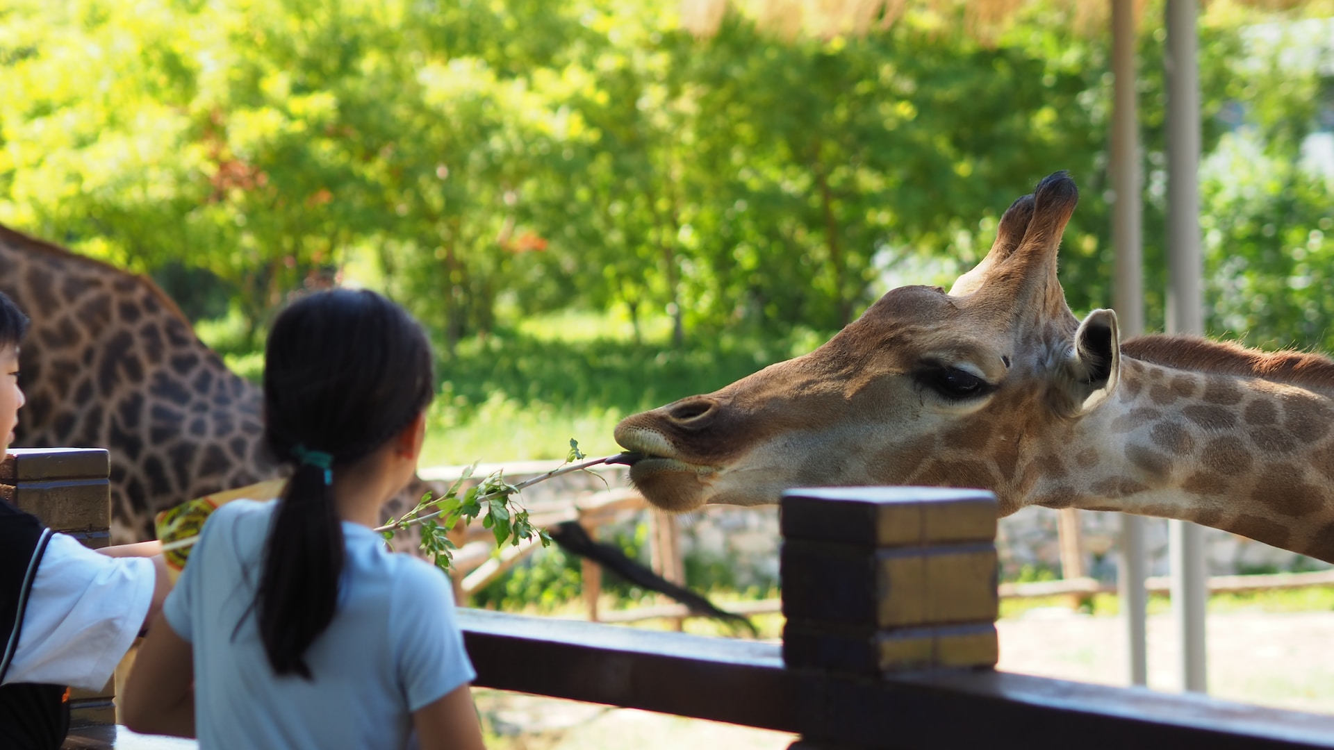 San Antonio Zoo