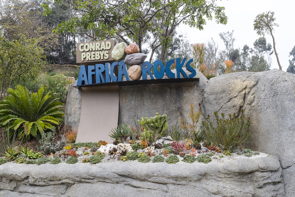 San Diego Zoo Africa Rocks