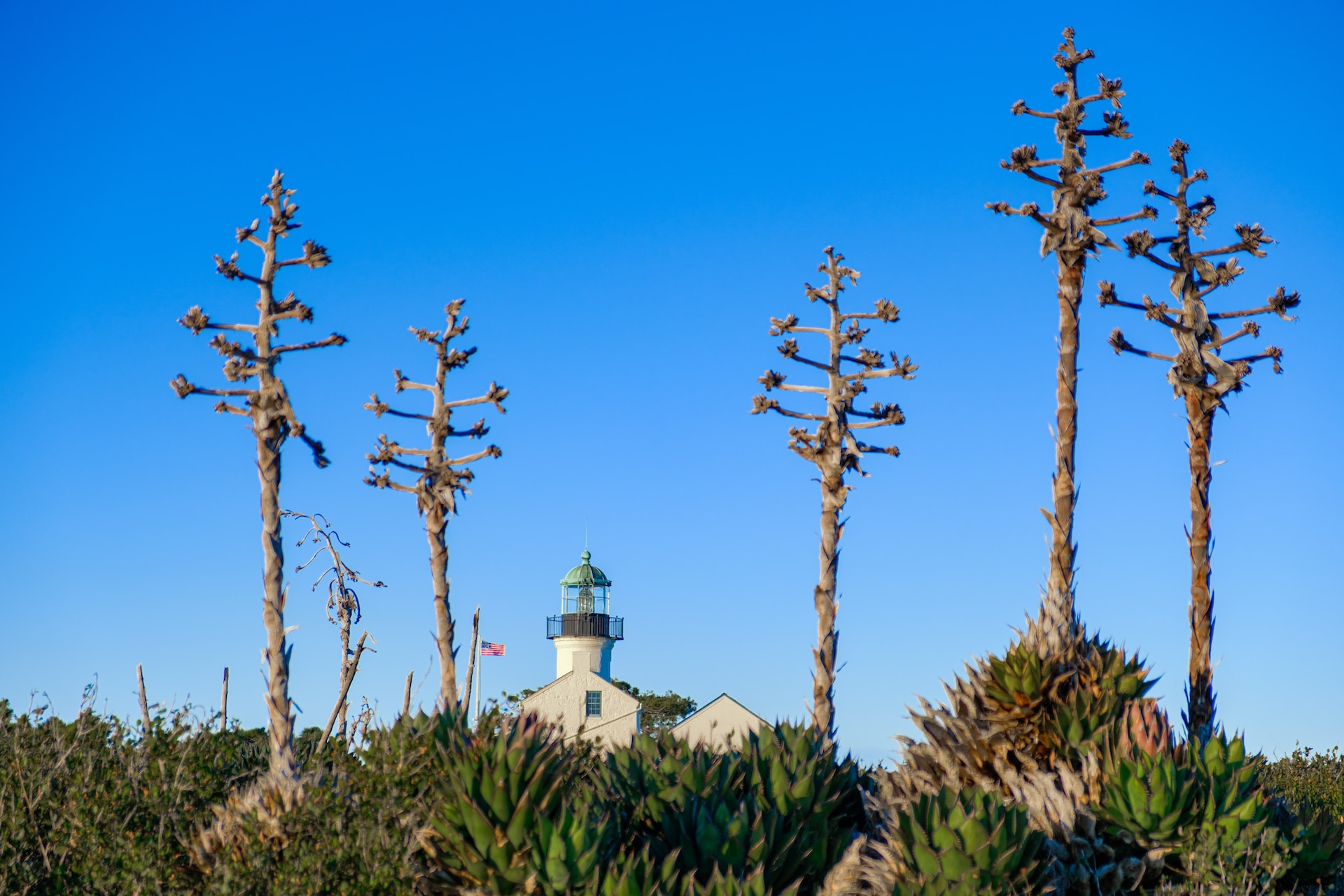 Cabrillo National Monument history