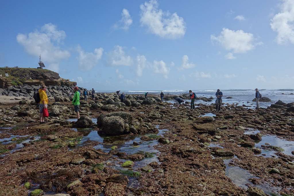 Tide pools at Cabrillo