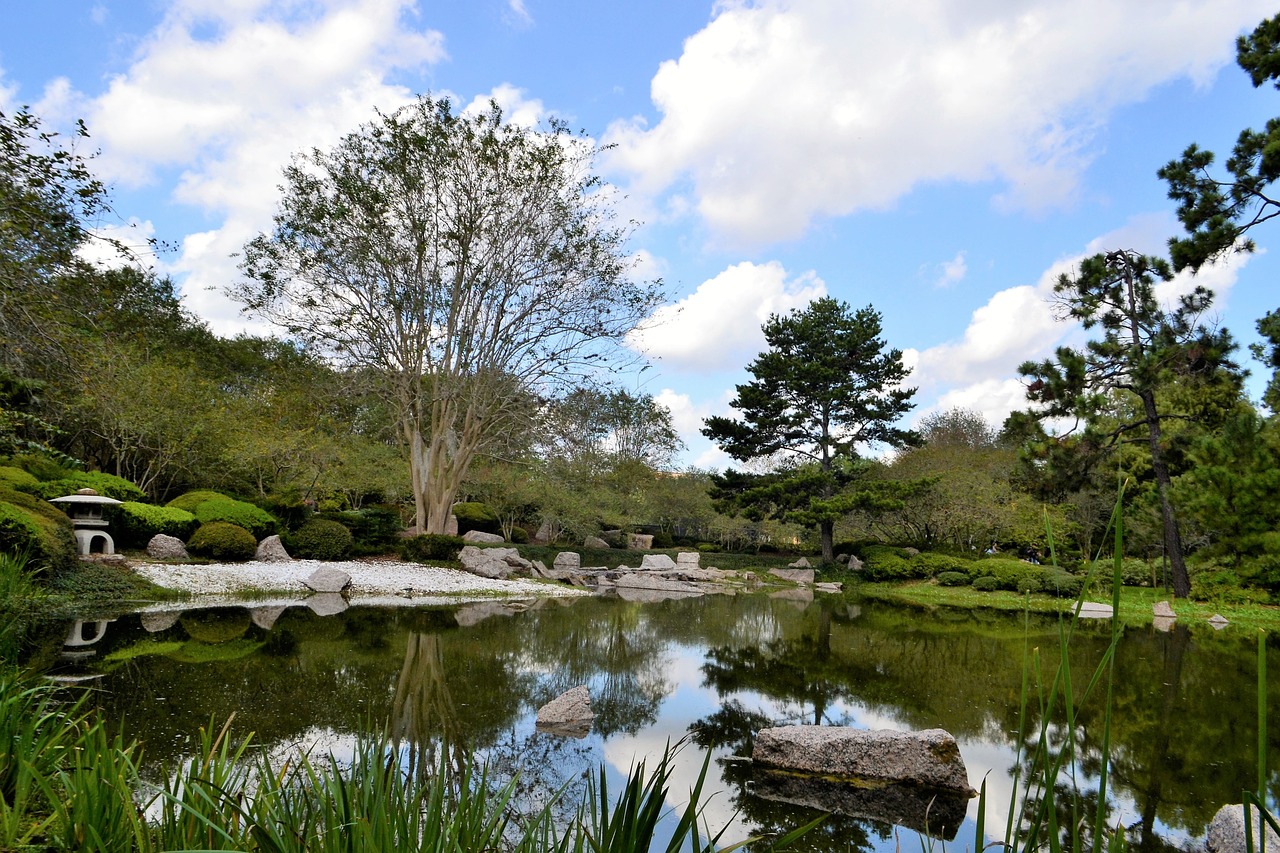 Brackenridge Park