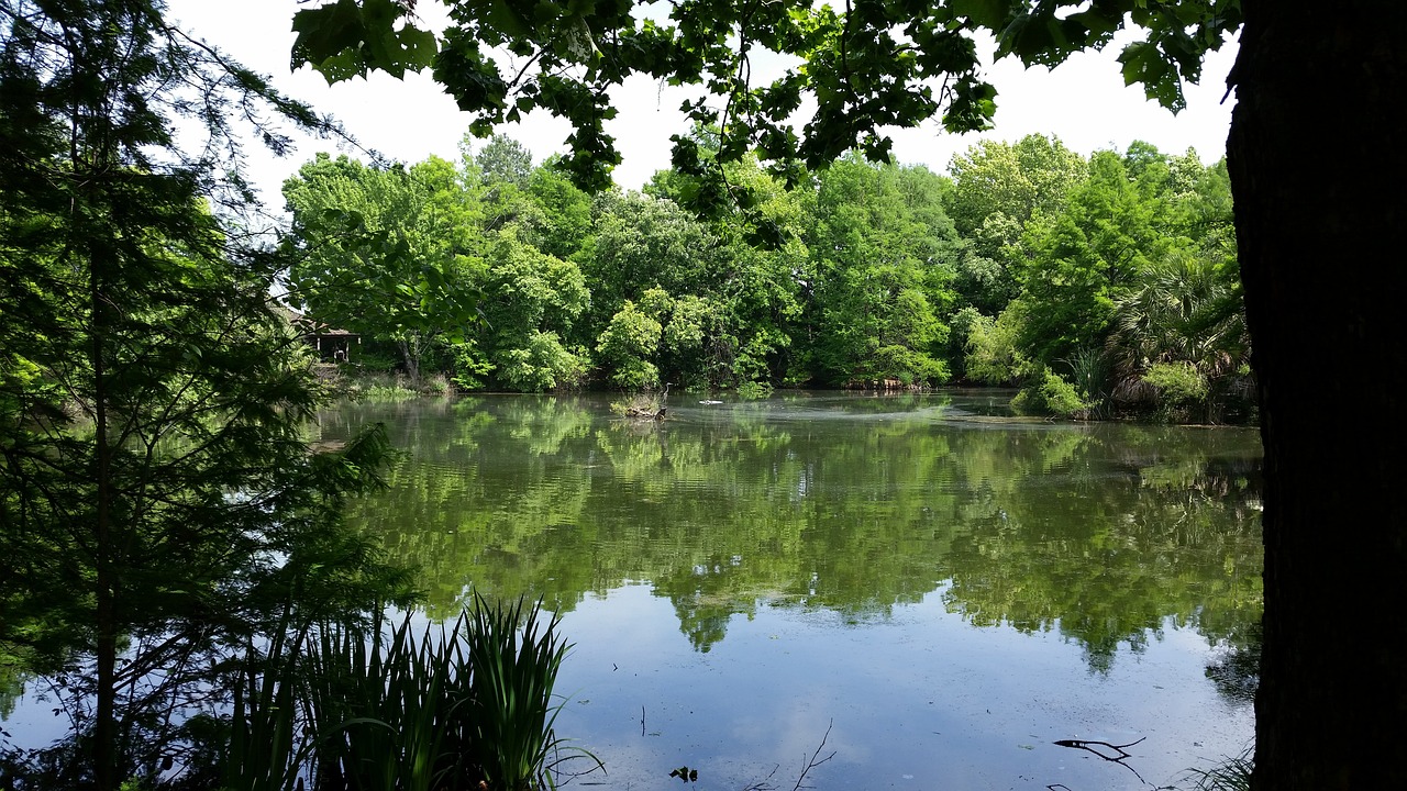 San Antonio Botanical Garden