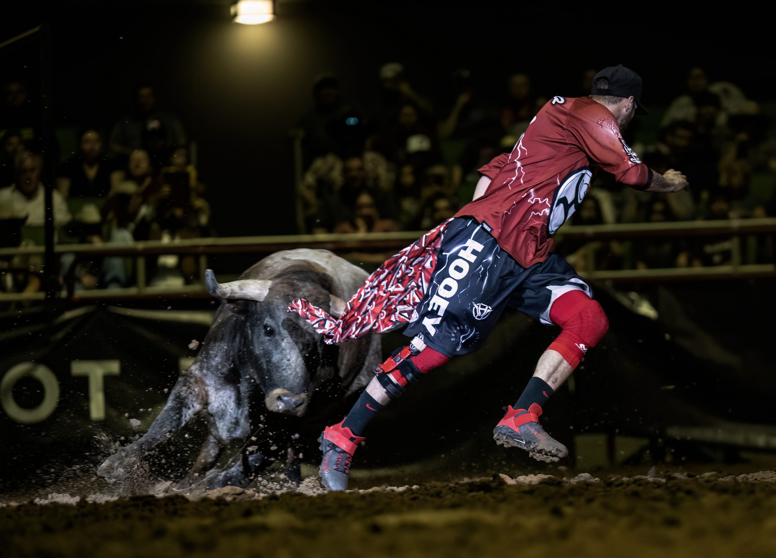 San Antonio Stock Show and Rodeo