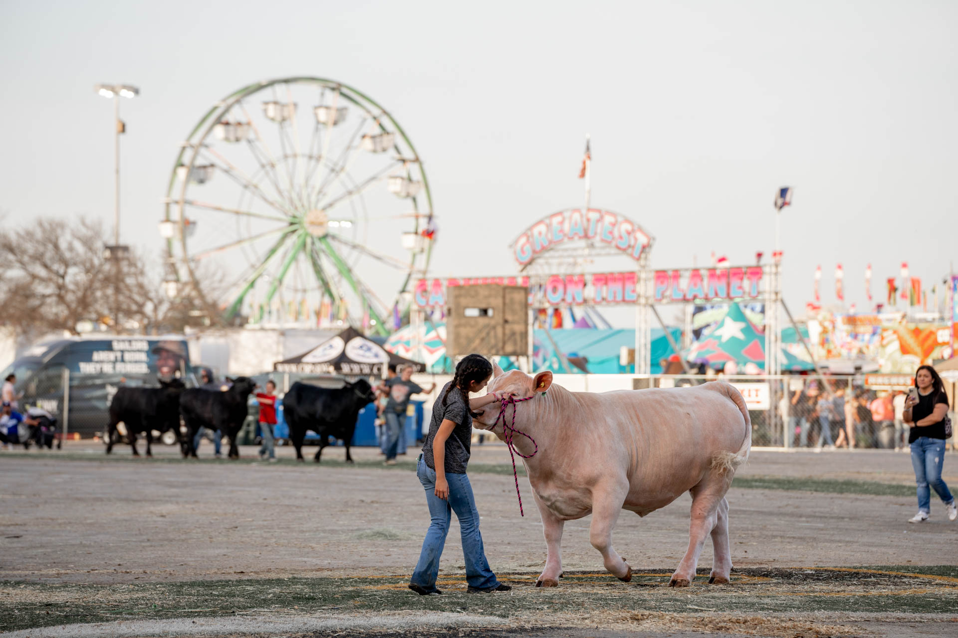 San Antonio Stock Show and Rodeo