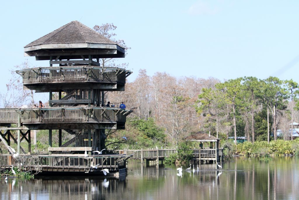 Gatorland