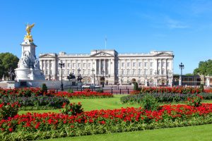 View of Buckingham Palace (1)