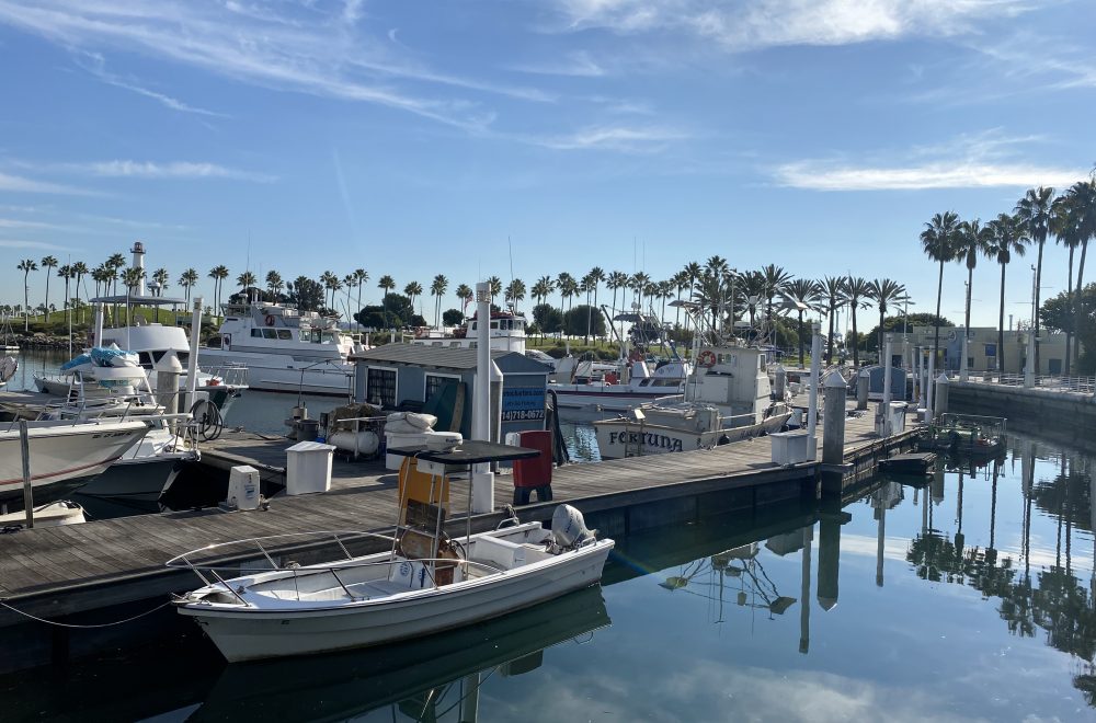 Harbor Long Beach