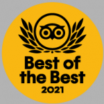 2021 traveler's choice award badge