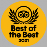 2021 traveler's choice award badge