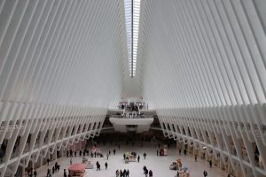 Scenic Shot of 911 Museum