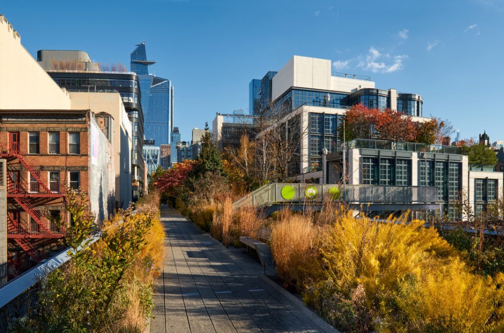 View of Hudson Yards from the High Line