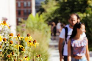 Private High Line and Chelsea Walking Tour