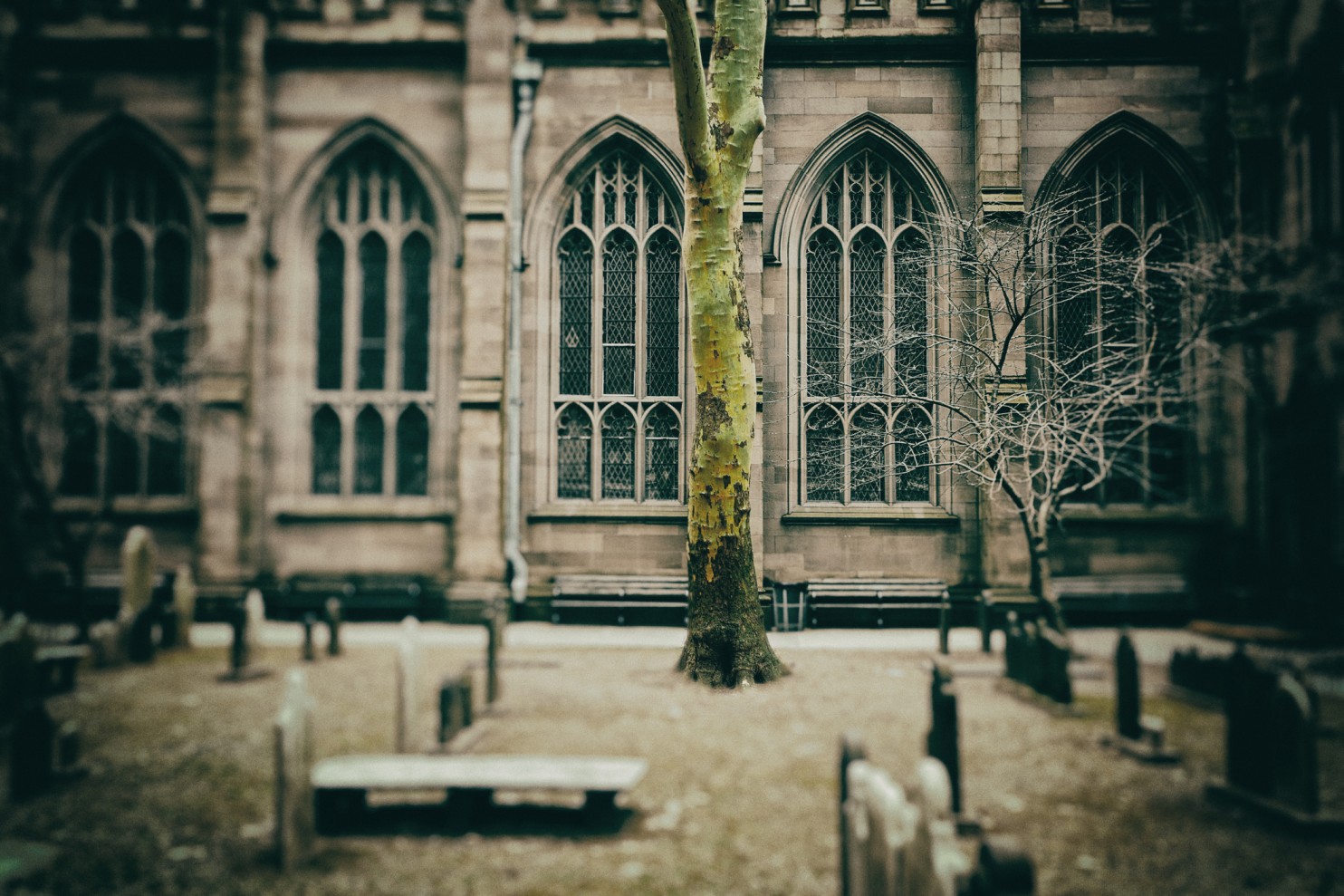 Trinity Churchyard tombstones (1)